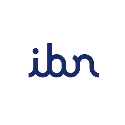 IBN logo