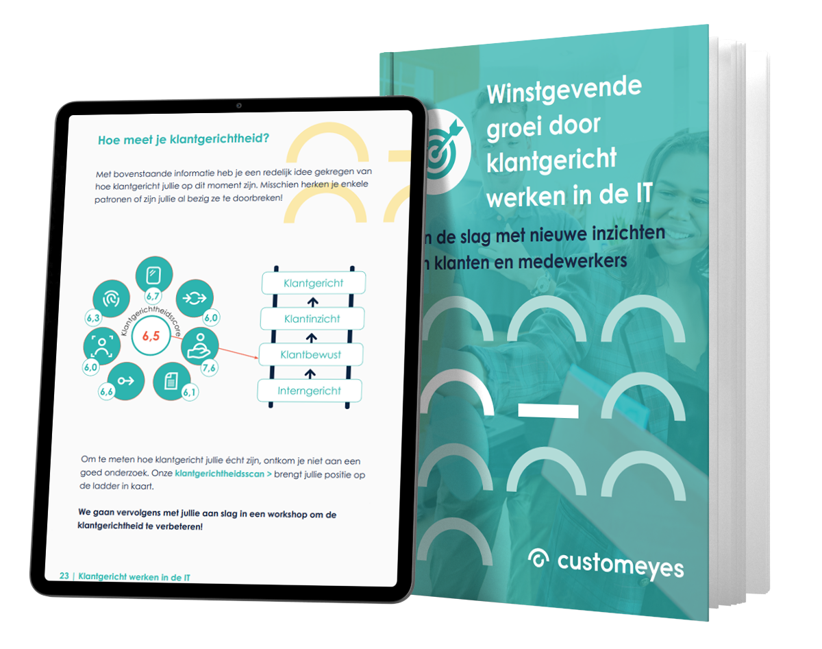 E-book: Winstgevende groei door klantgericht werken in de IT-sector